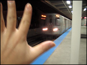LH